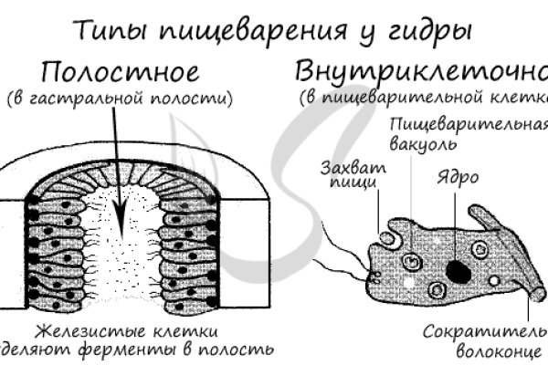 Кракен магазин kraken014 com