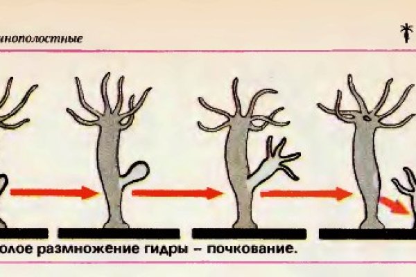 Ссылка кракен kr2web in