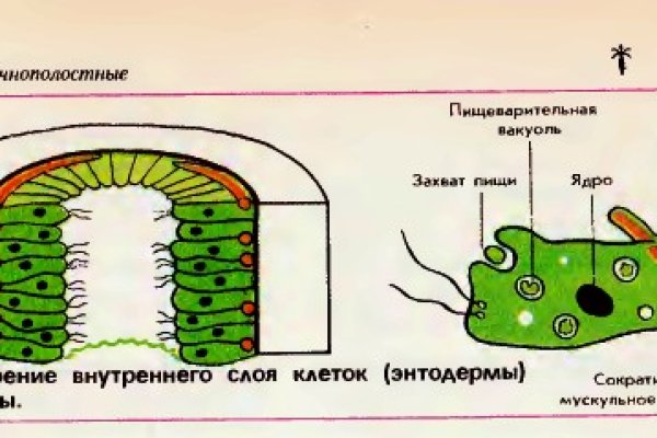 Кракен наркоторговец