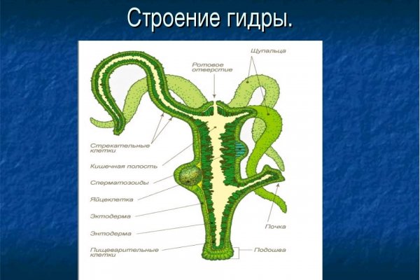 Кракен площадка kr2web in