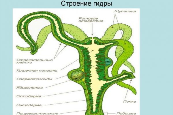 Кракен шоп ссылки