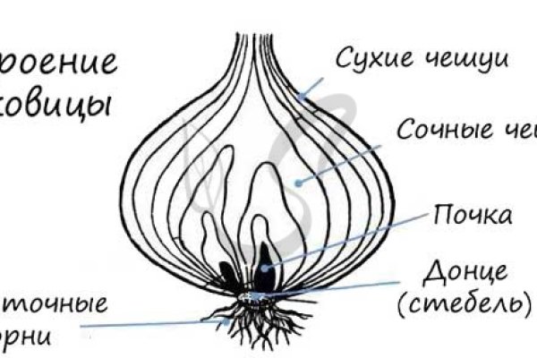 Как восстановить кракен